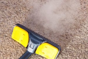 Carpet Cleaning Services