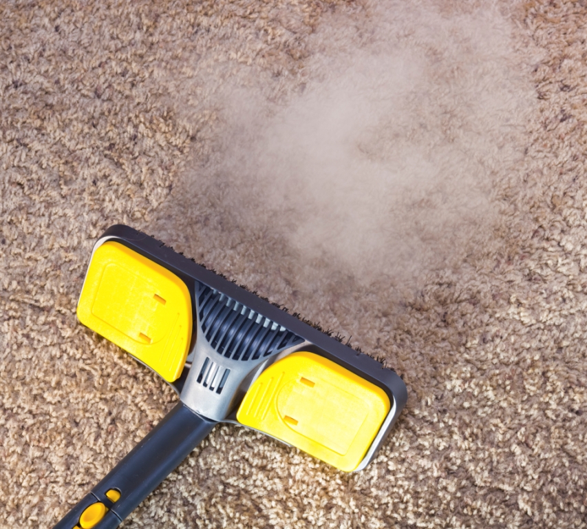 Carpet Cleaning Services