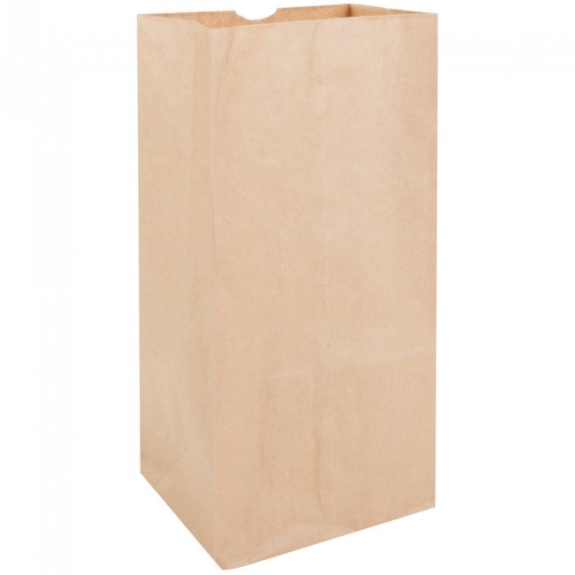 20LB KRAFT GROCERY BAG 500/BUNDLE 8 1/4" X 5 1/4" X 16 1/8"