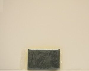 CELLULOSE SPONGE WITH SCOURING PAD 1 PCS.