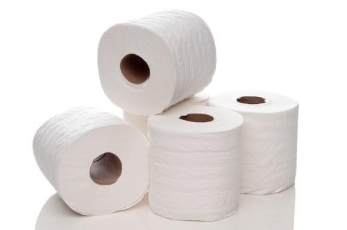 BATHROOM TISSUE 2 PLY 500 SHEETS 48 ROLLS / BOX 48 RLS-500 SHTS