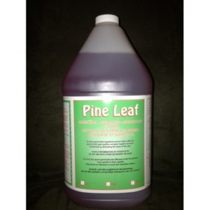 Pine Leaf